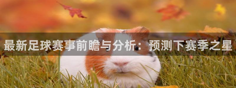 mk体育的最新版本更新内容是什么